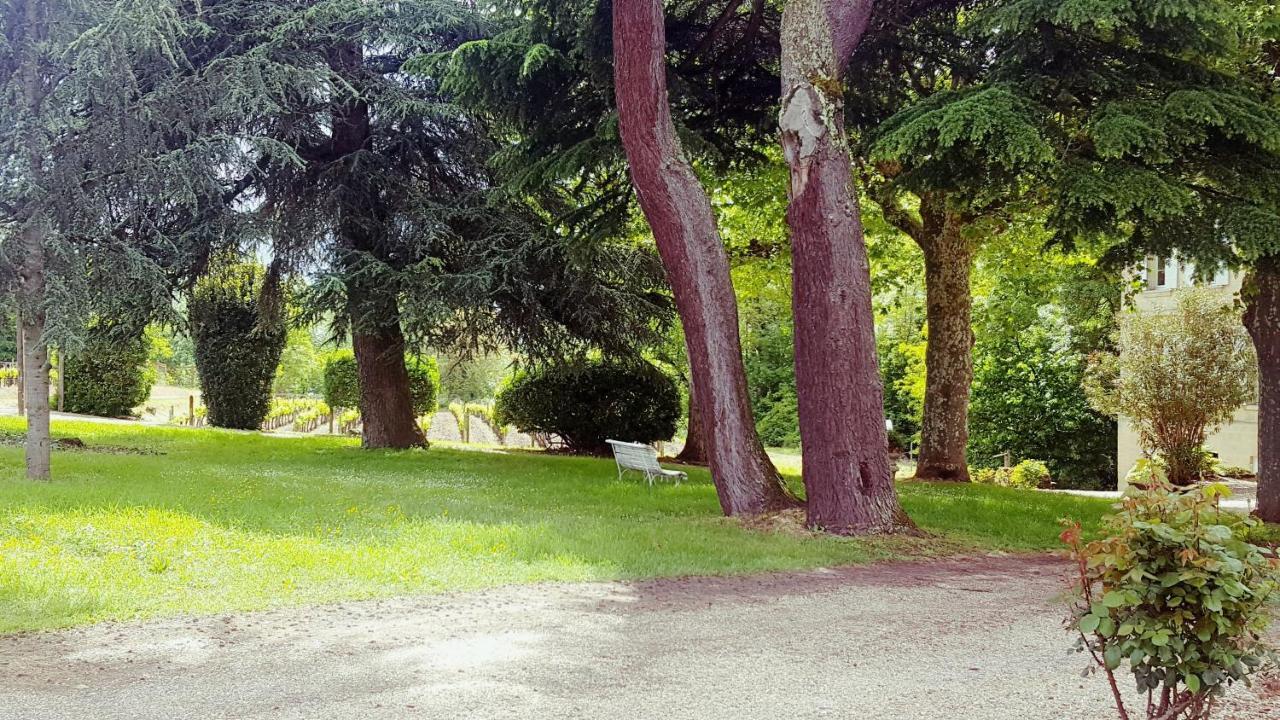 סנט-אמיליון Chateau Cantelaube מראה חיצוני תמונה